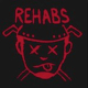2016_rehabs.jpg_sm